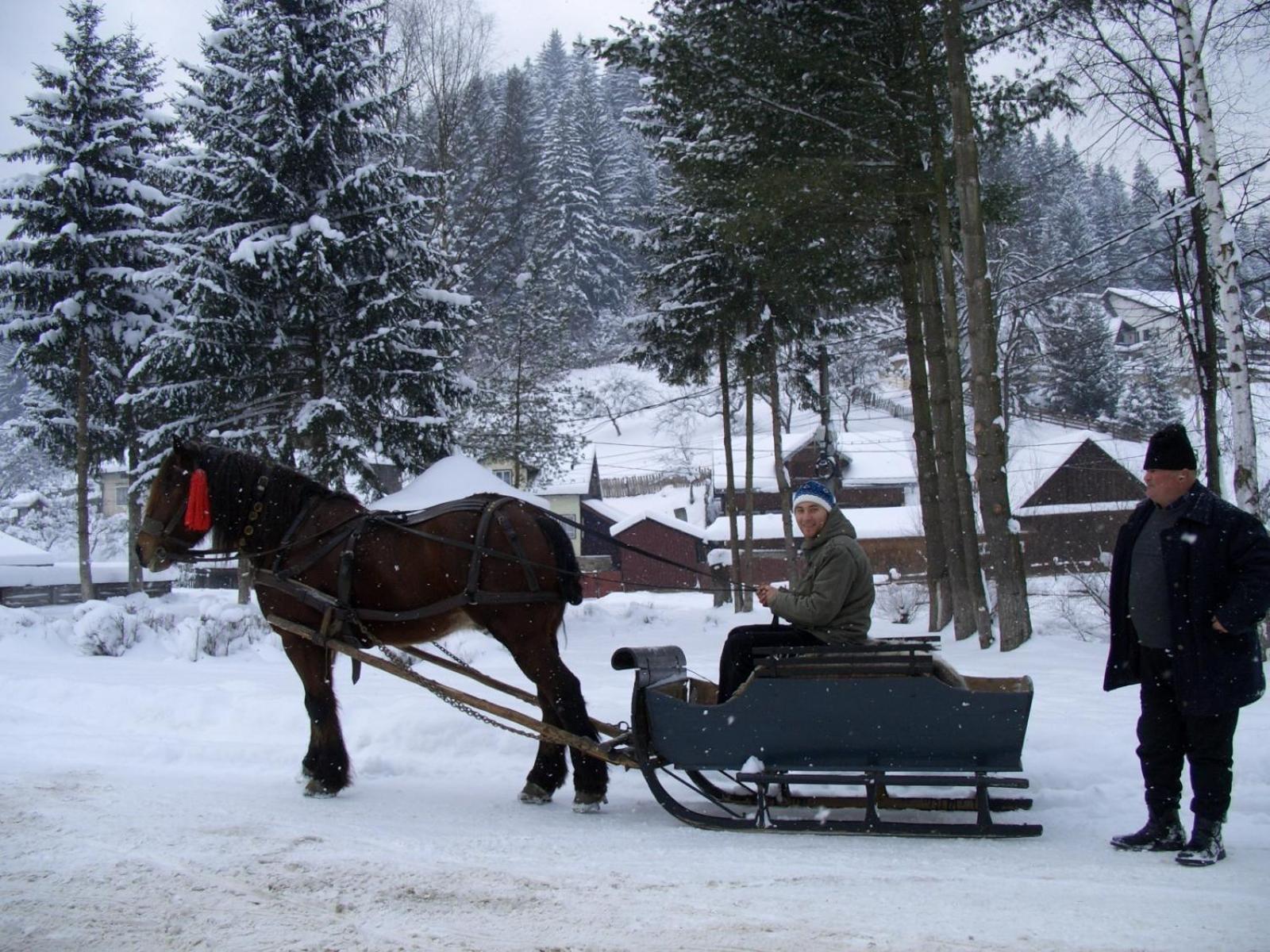 Pension Lucia Bucovina Hotell Vama  Eksteriør bilde