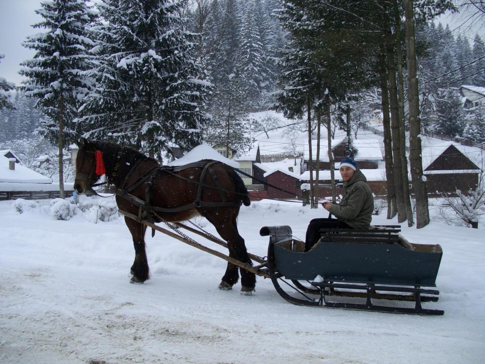 Pension Lucia Bucovina Hotell Vama  Eksteriør bilde